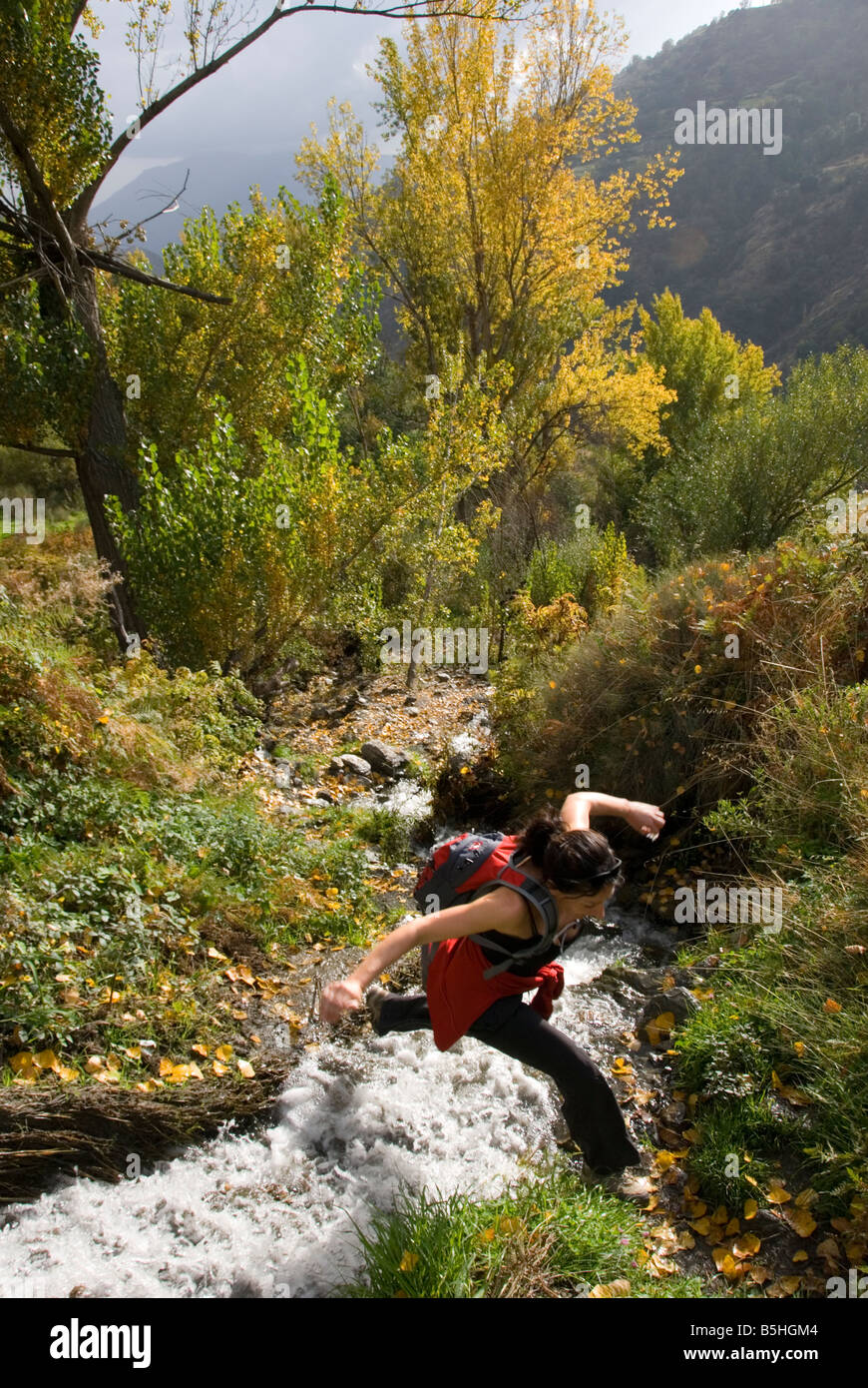 Trekking trekker hiking hiker hi-res stock photography and images - Alamy