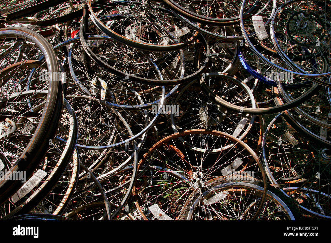 bicycles  rims Stock Photo