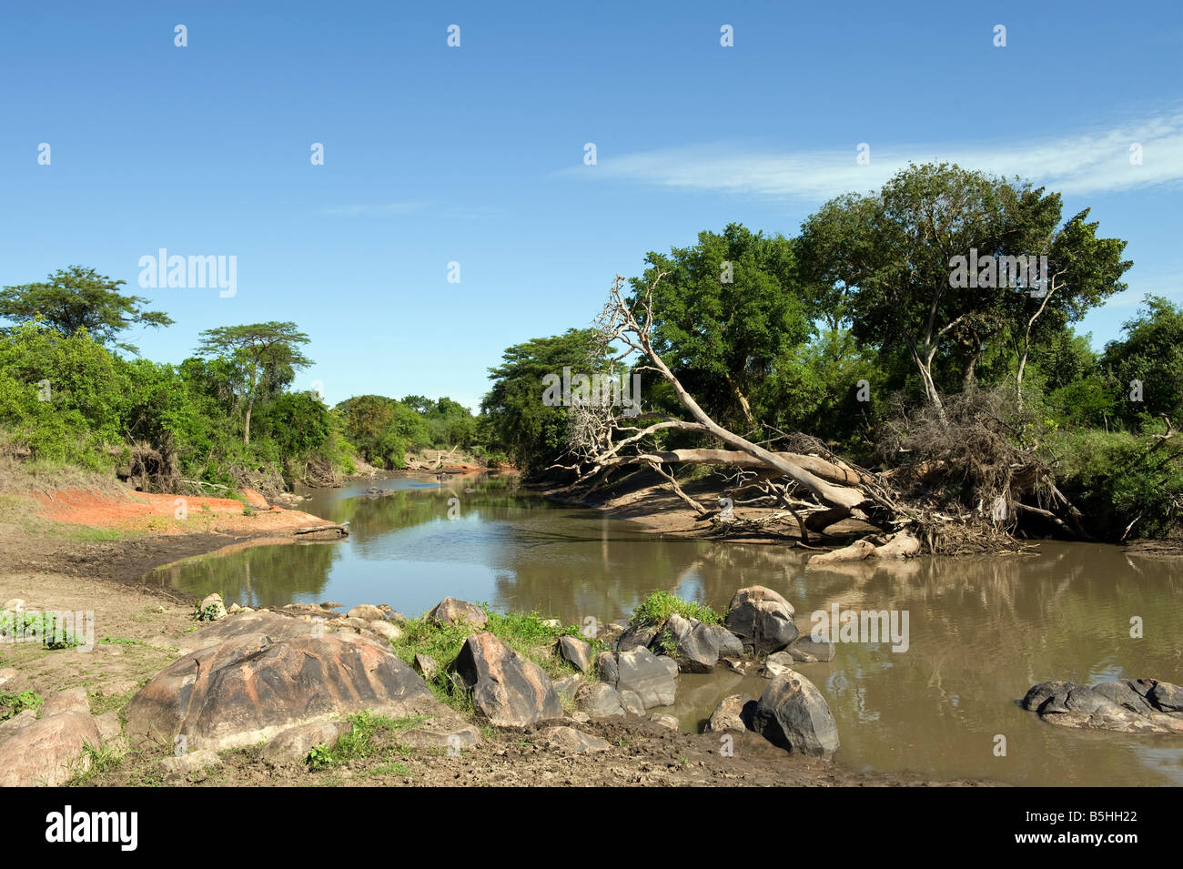 Banks of the Grumeti river in the Serengeti Tanzania Stock Photo