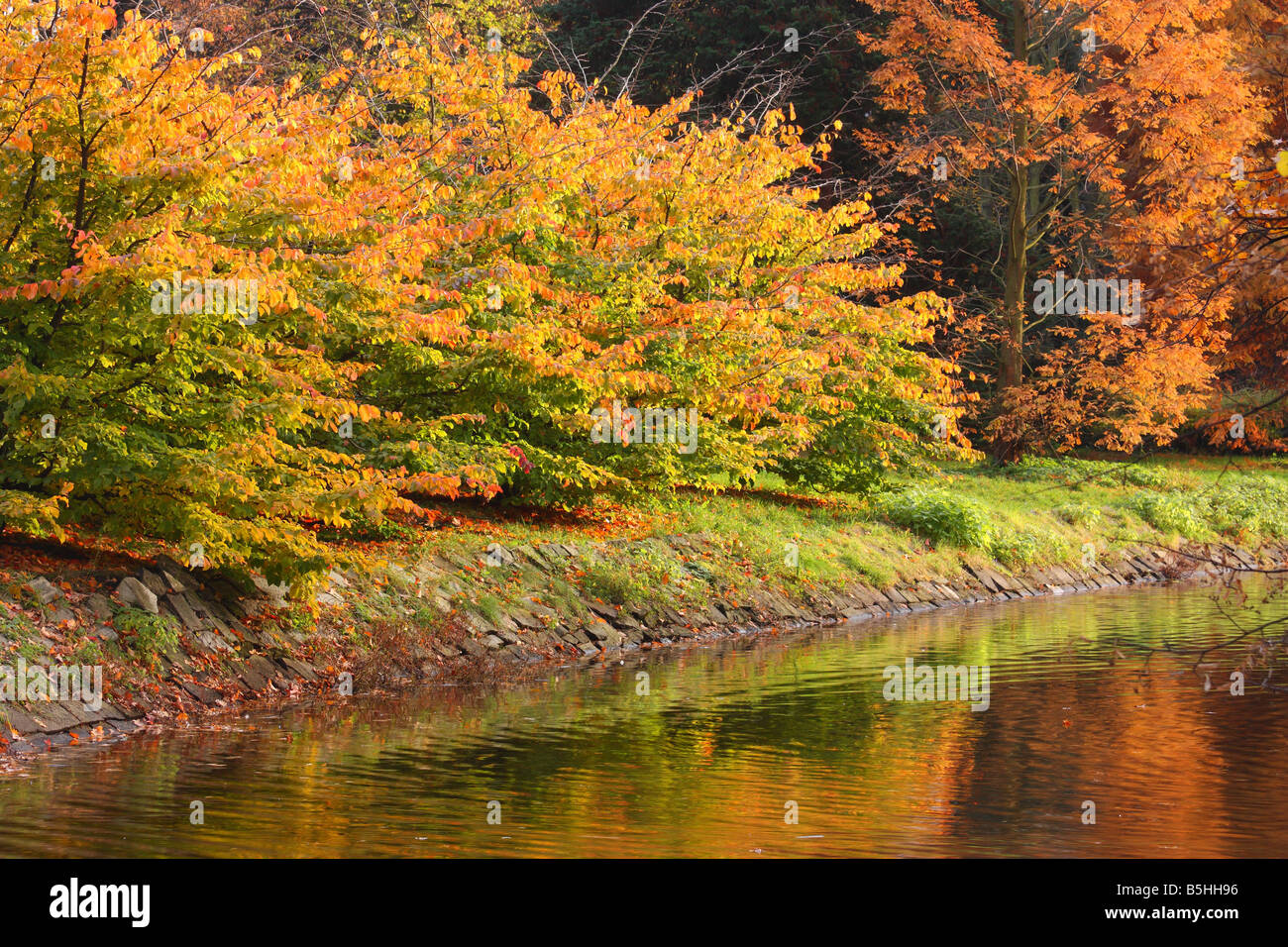 Quiet water and autumn colours colors Stock Photo