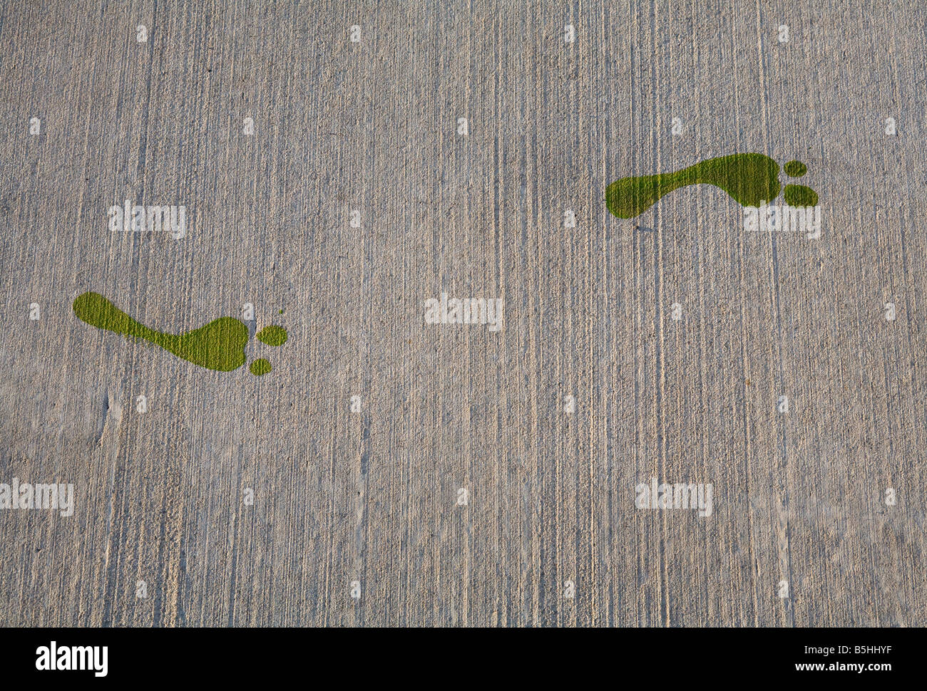A sidewalk painted with "Alien" foot prints in Roswell, New Mexico ...