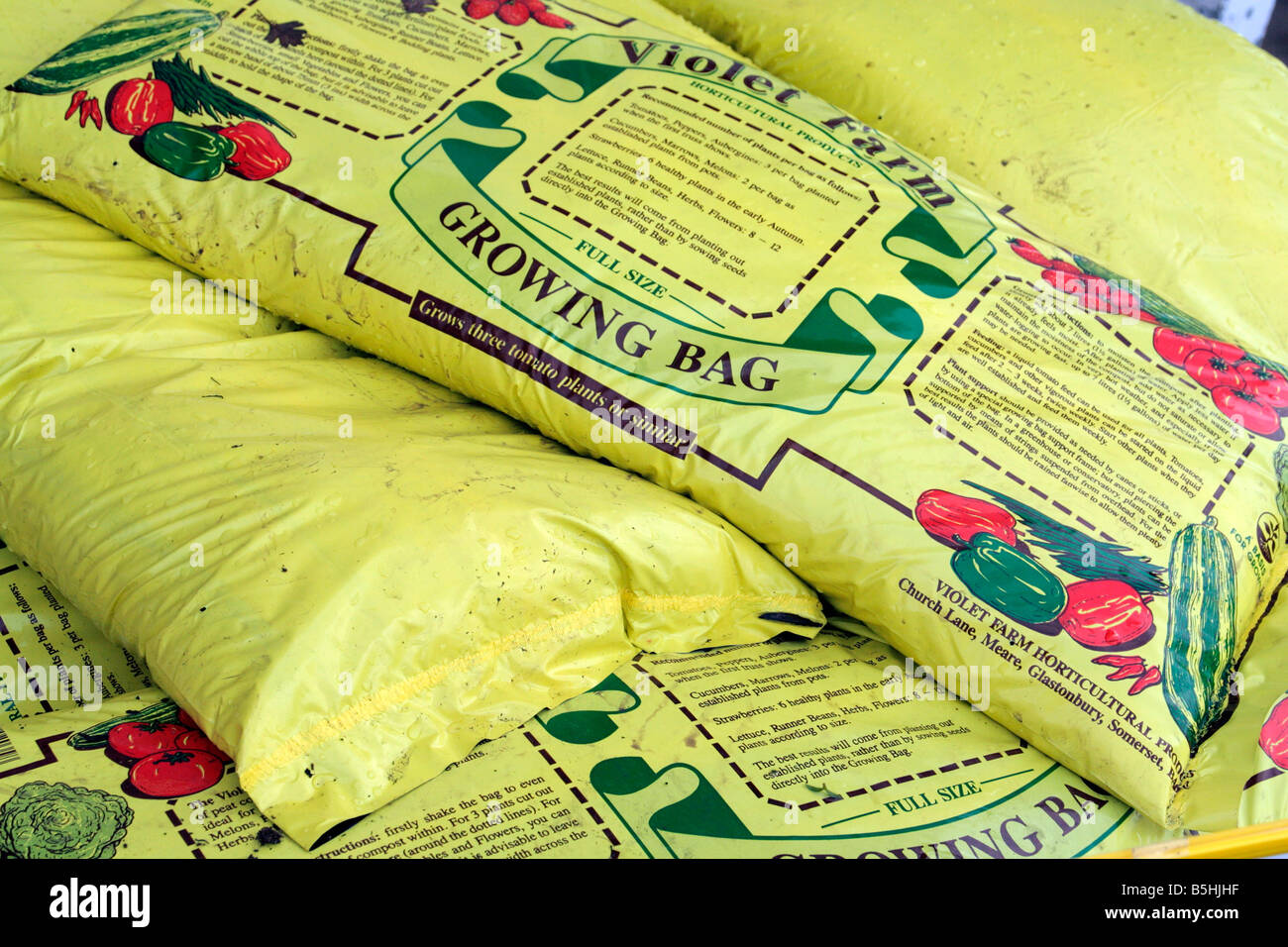 GROWBAGS GROWING BAGS Stock Photo