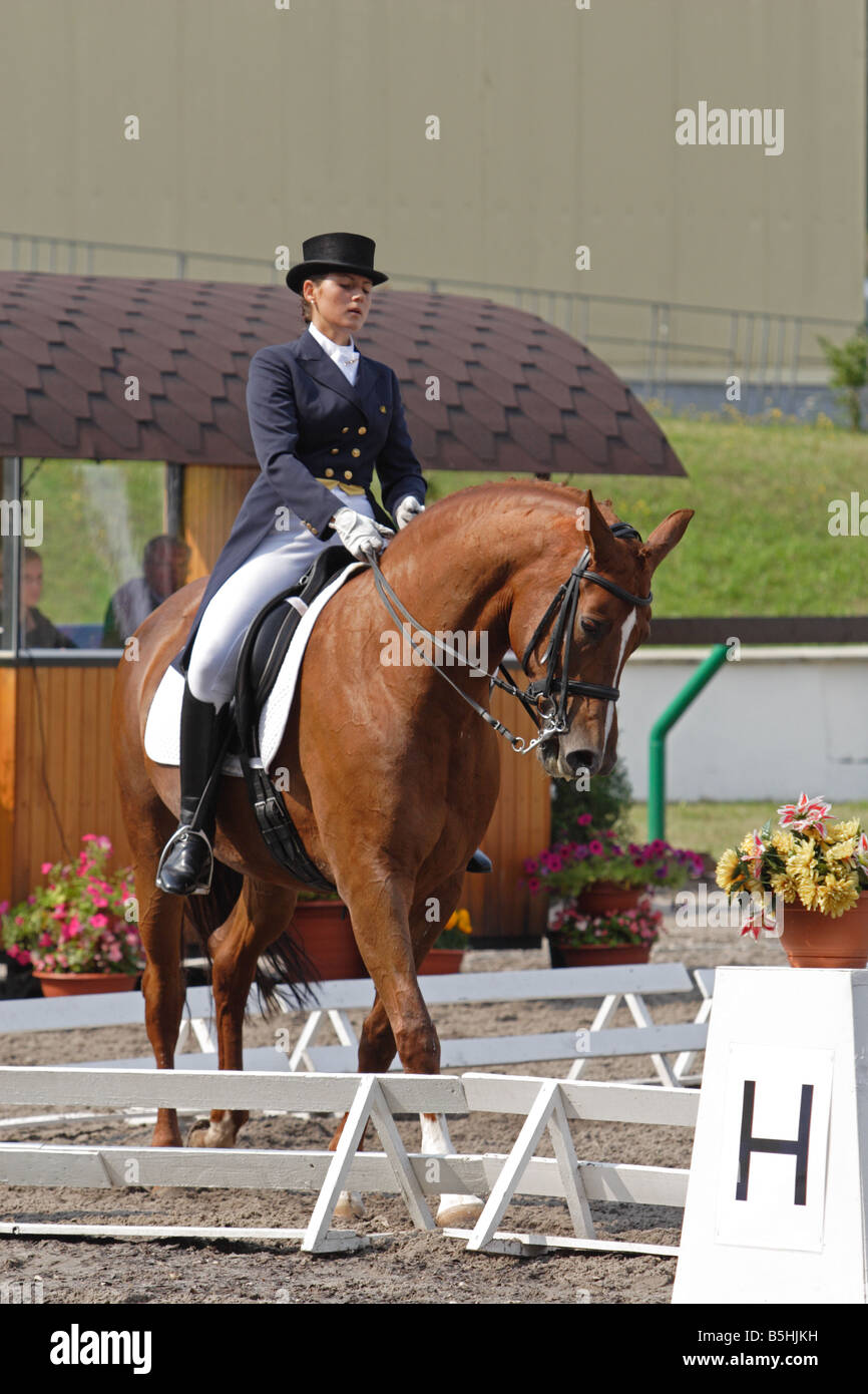 Horse rider in dressage competition Stock Photo Alamy