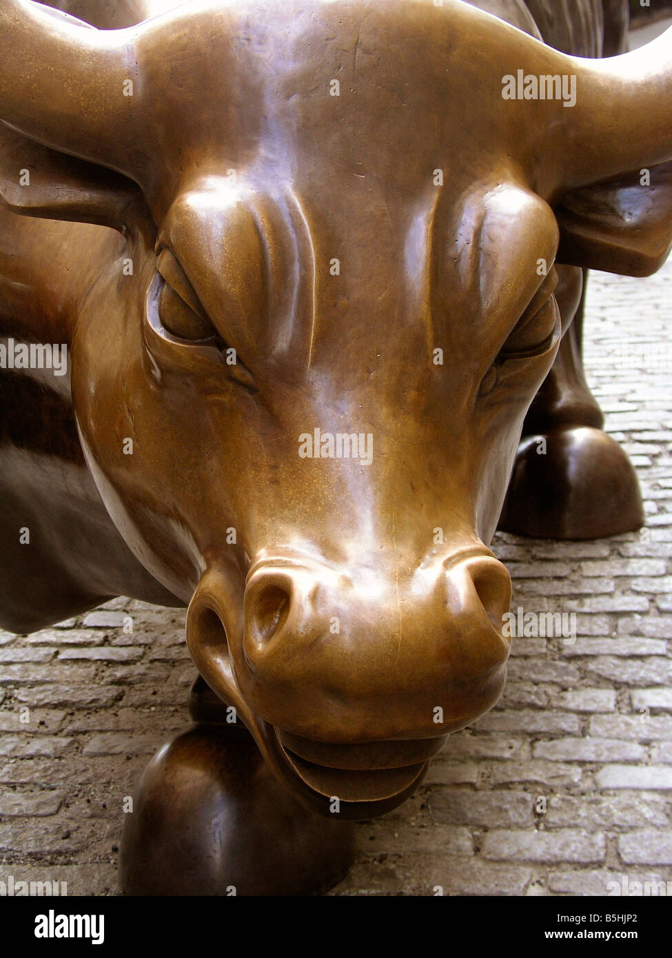 wall street bull Stock Photo