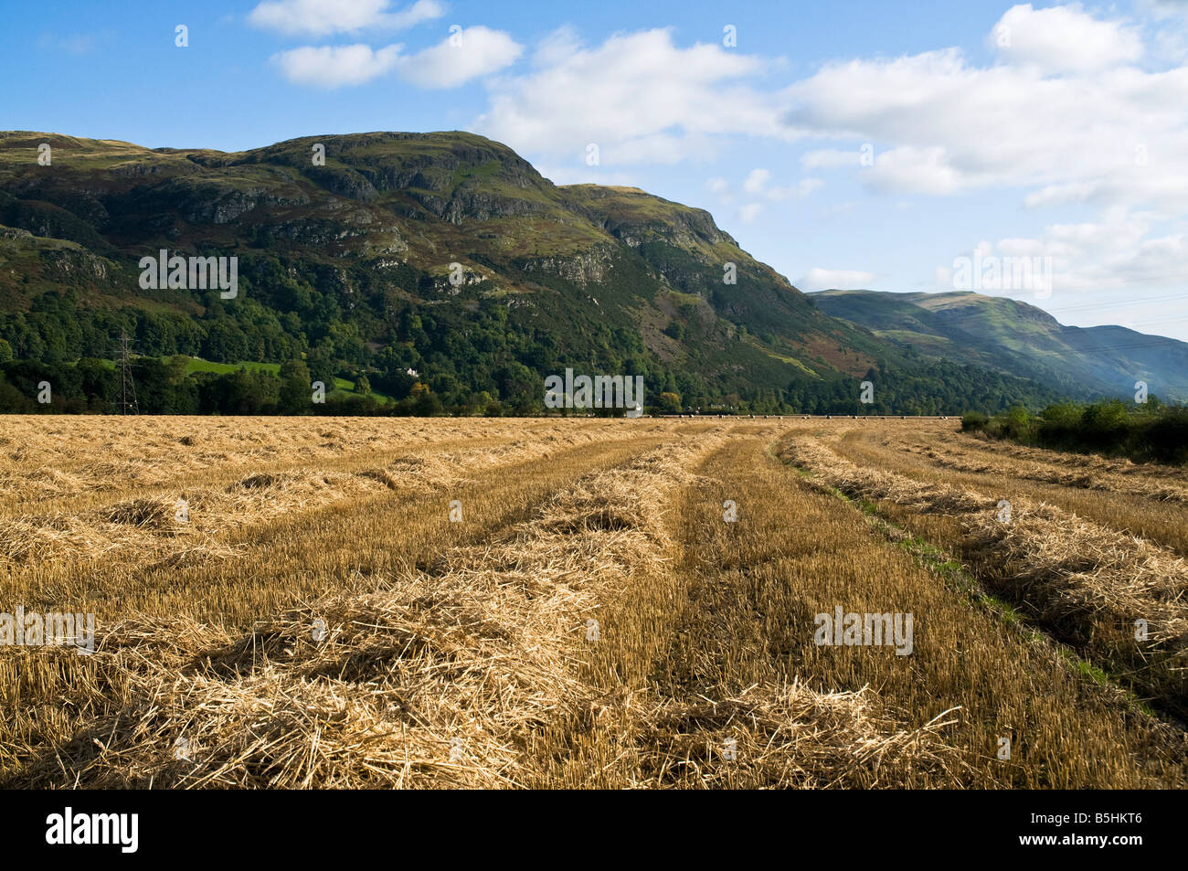 dh  OCHIL HILLS STIRLINGSHIRE Drying hay straw field and the Ochils Stock Photo