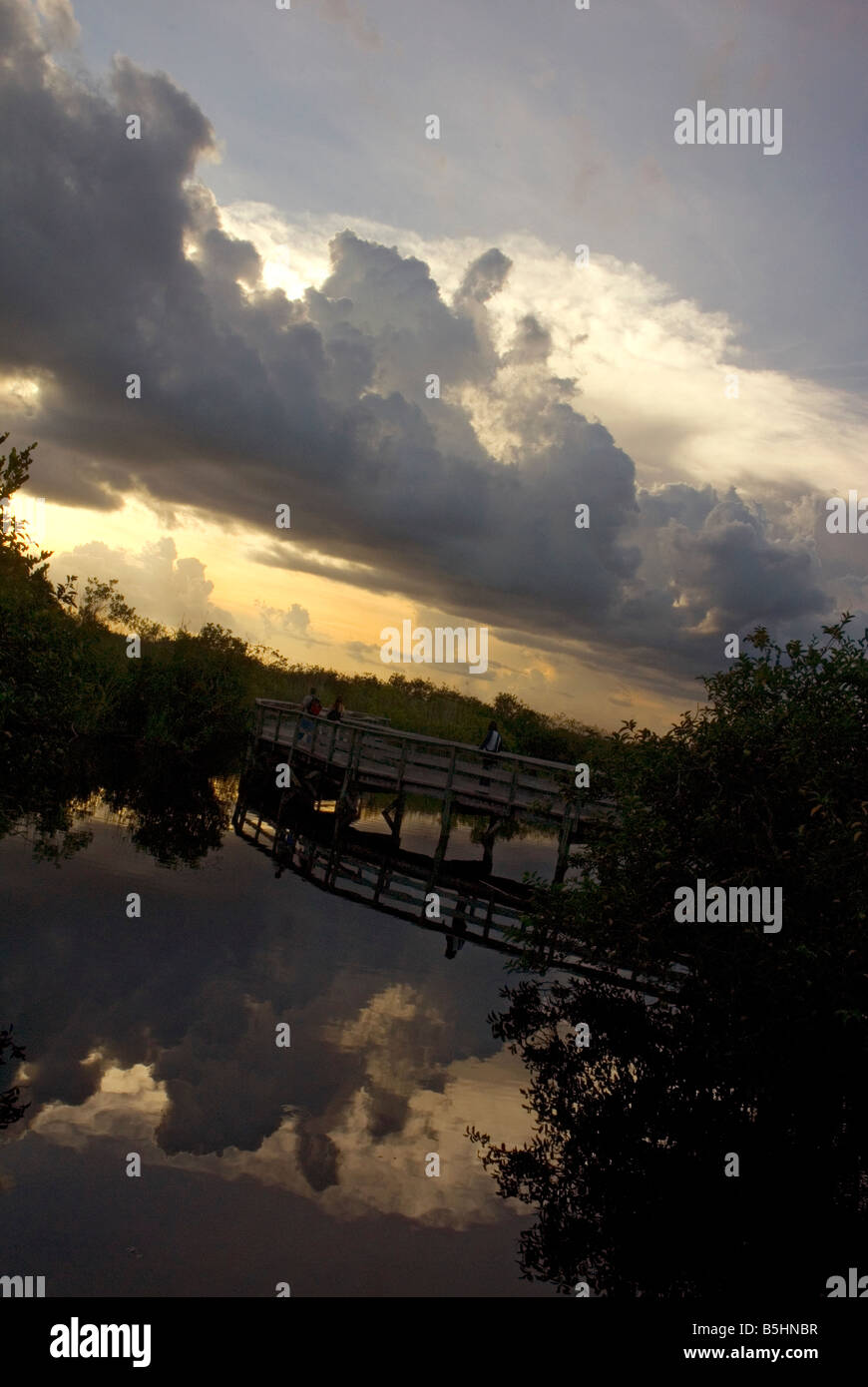 Visitors are crossing a long wooden bridge through the reptile territories of Everglades