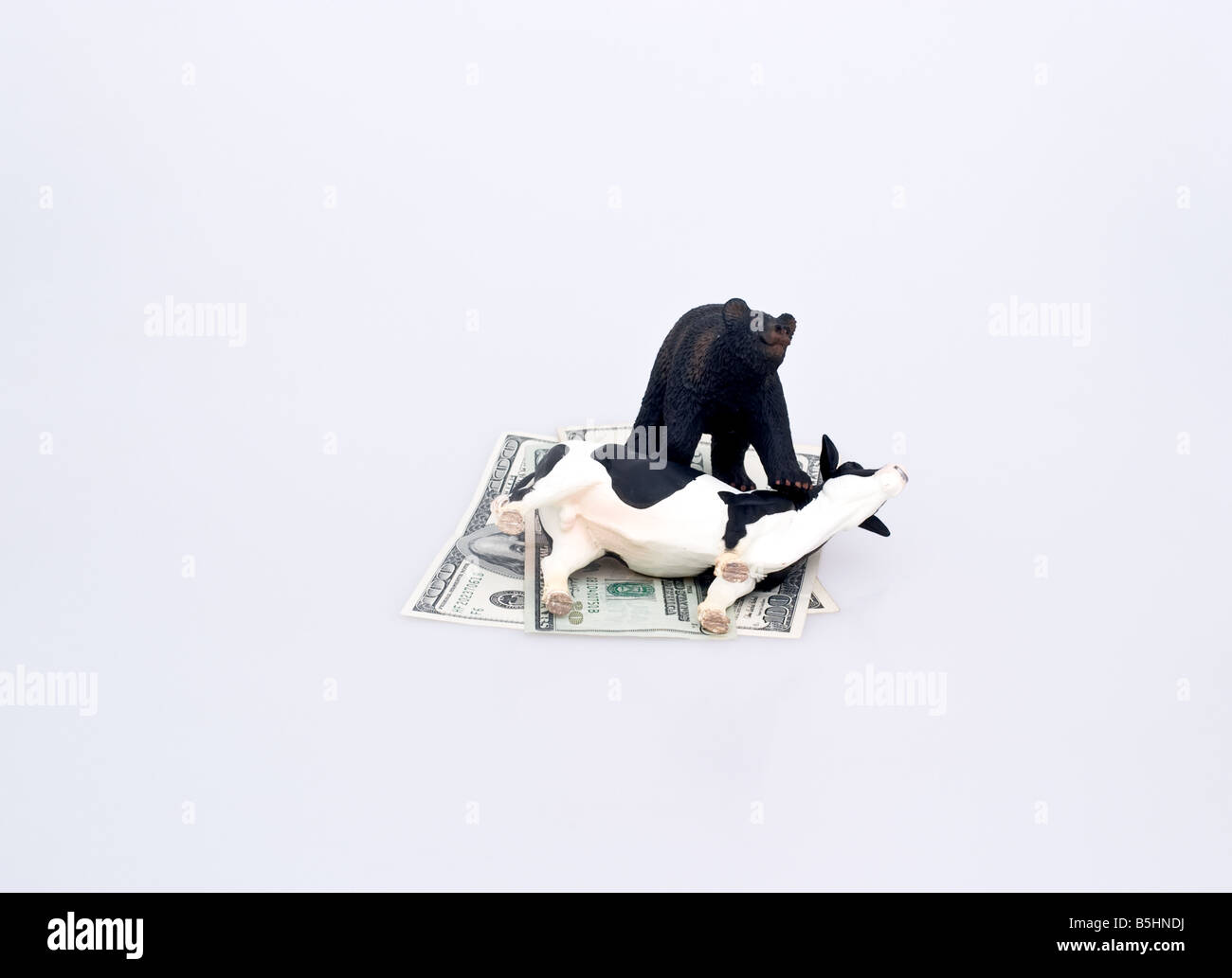 Bear standing on a bull lying on it's side upon on United states currency. Stock Photo
