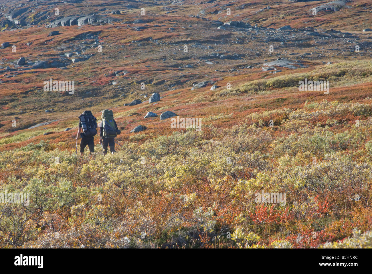 Hikers on the Kungsleden (King's trail) in northern Sweden Stock Photo