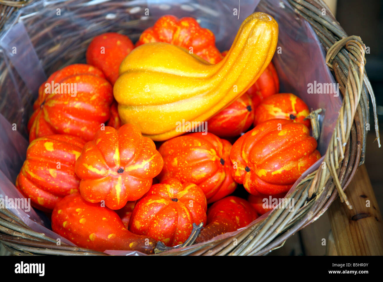 Decor items,pumpkins and Flowers; for the Celebration of Thanksgiving in North America Stock Photo