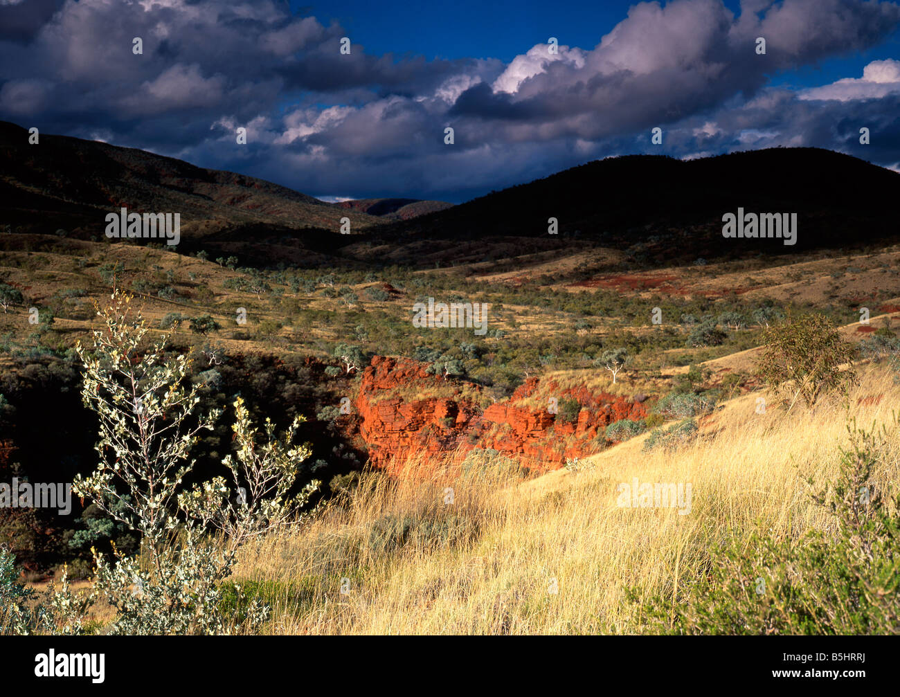 Munjina Gorge, Pilbara, Northwest Australia Stock Photo