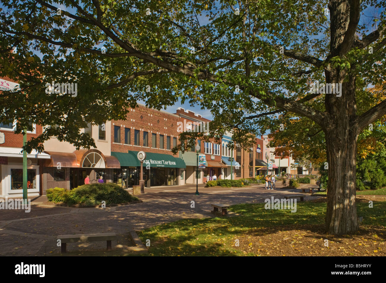 Hickory hires stock photography and images Alamy
