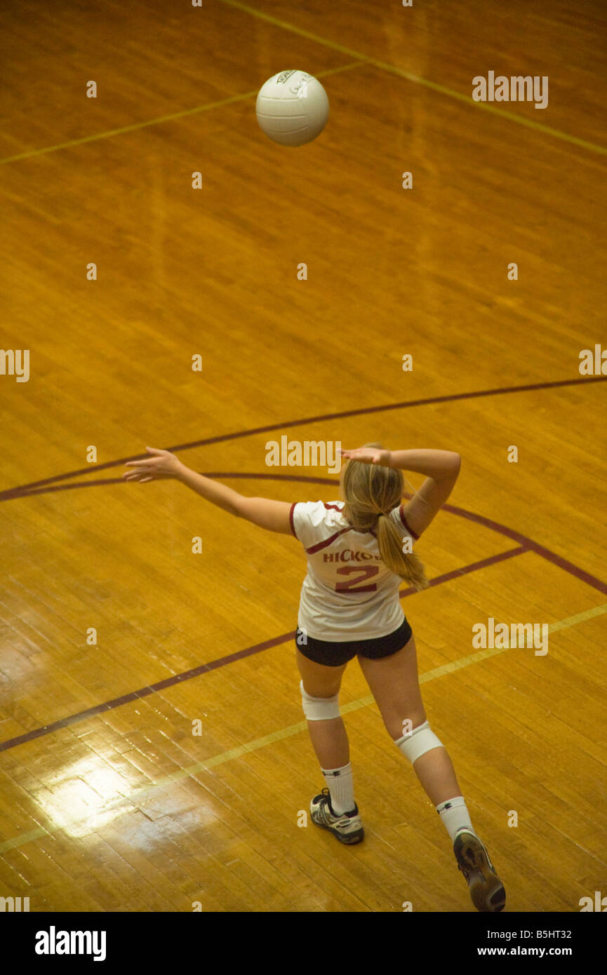 Volleyball service line hires stock photography and images Alamy