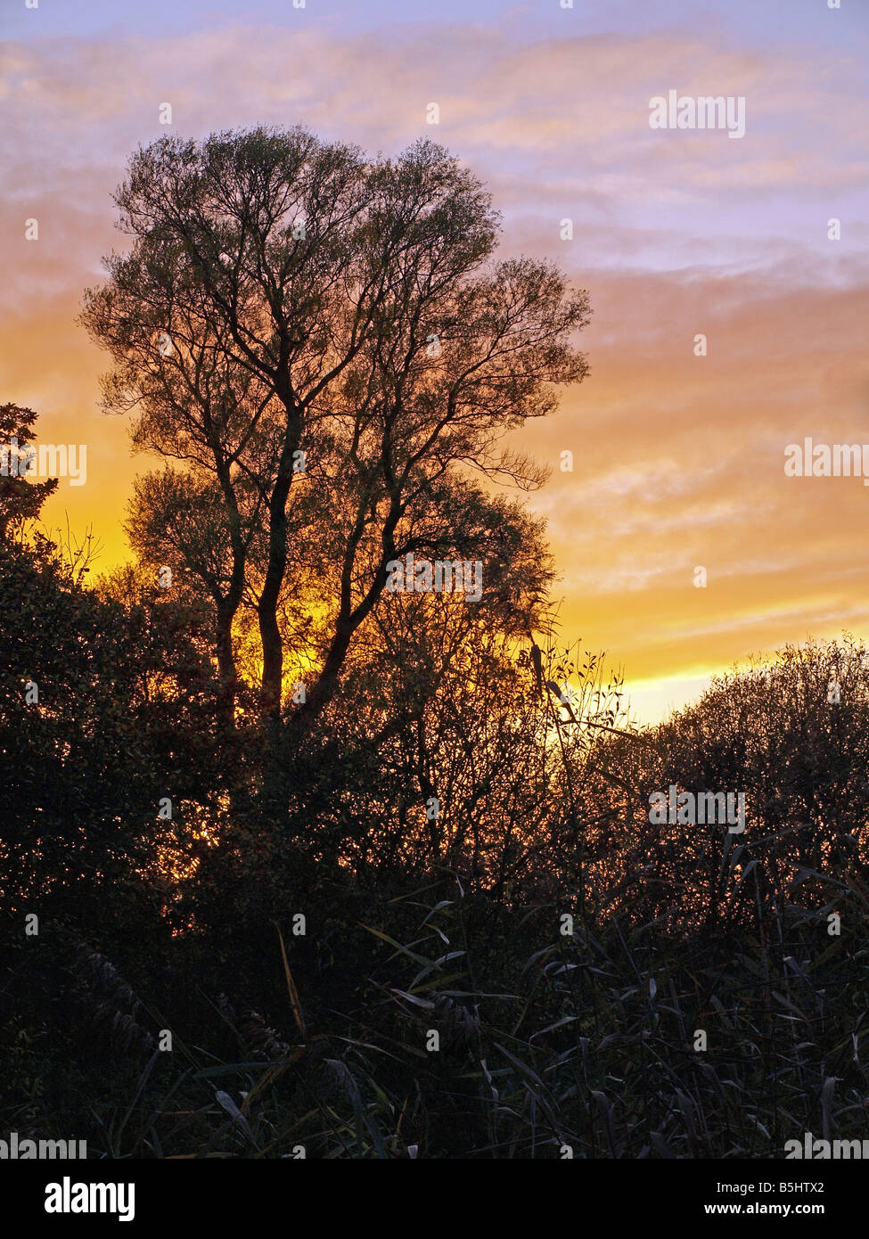 Red sky at night Stock Photo Alamy