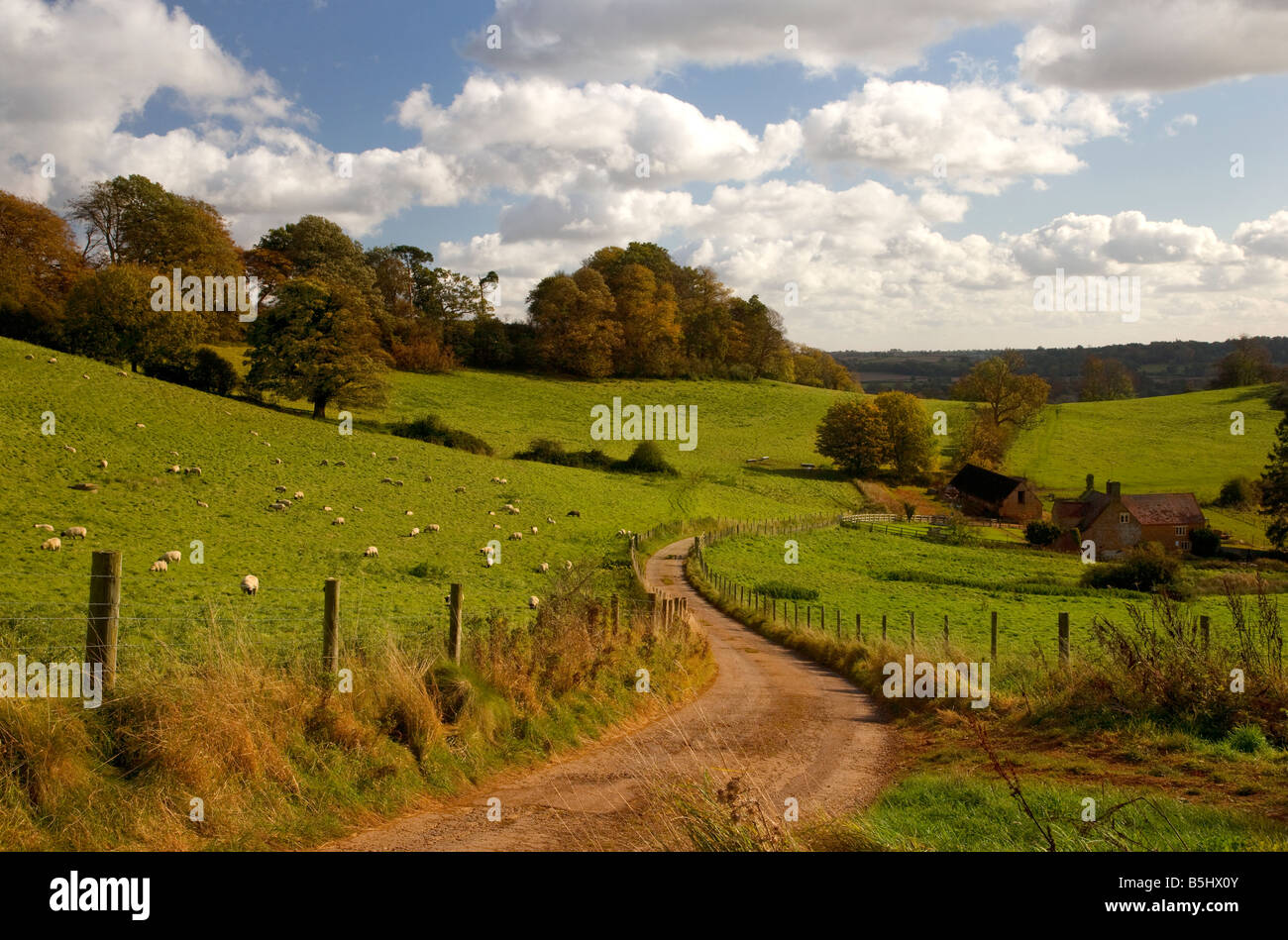 Cotswold country lane scenic view,oxfordshire,england Stock Photo Alamy