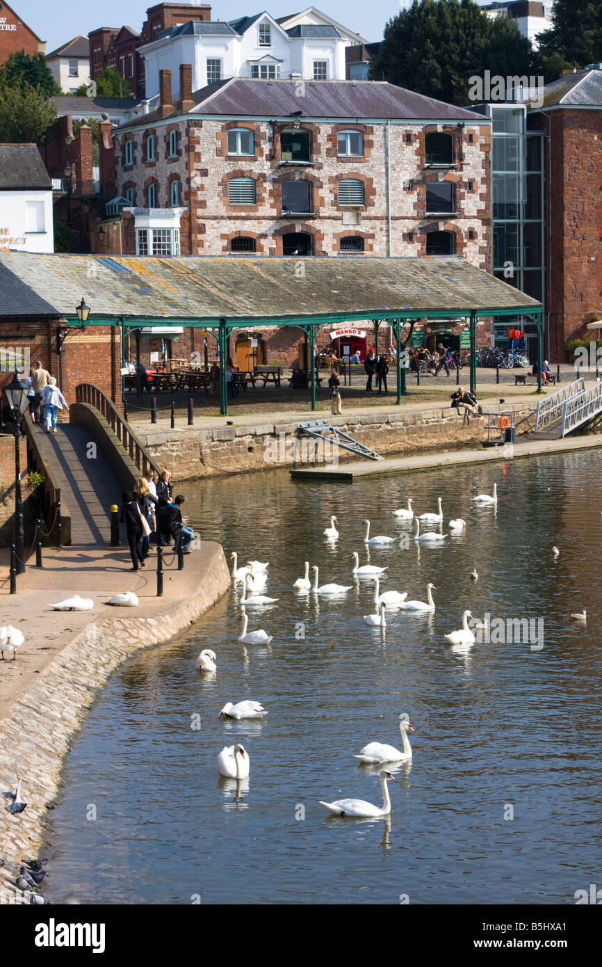 Quayside Exeter Devon UK Stock Photo Alamy