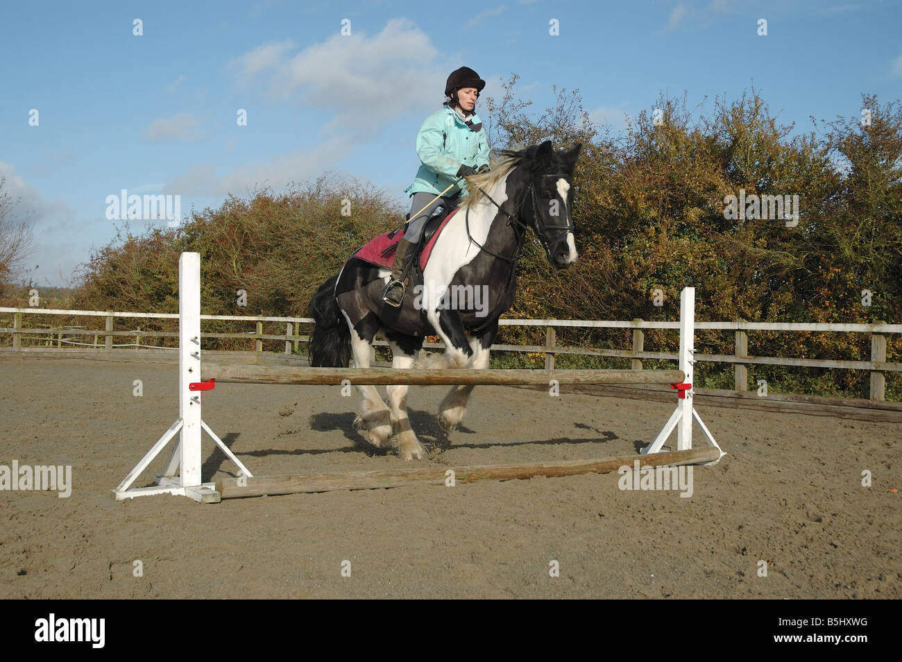 How to jump a horse.edu