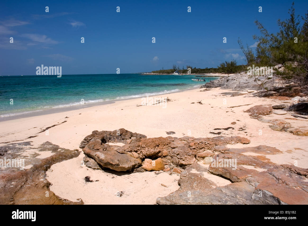 Beach Rose Island Bahamas Stock Photo Alamy