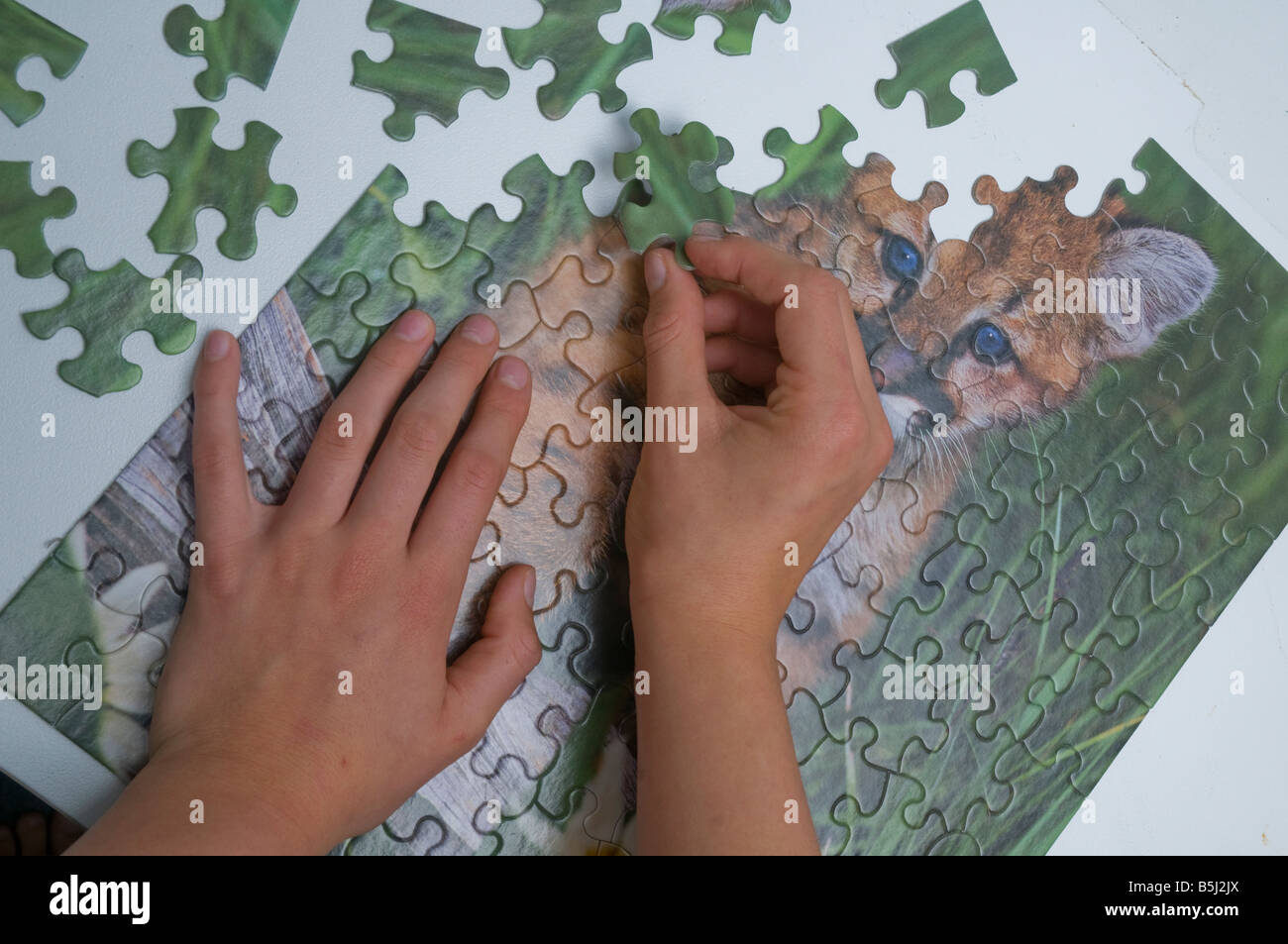 Girl s hands doing a jigsaw puzzle Stock Photo