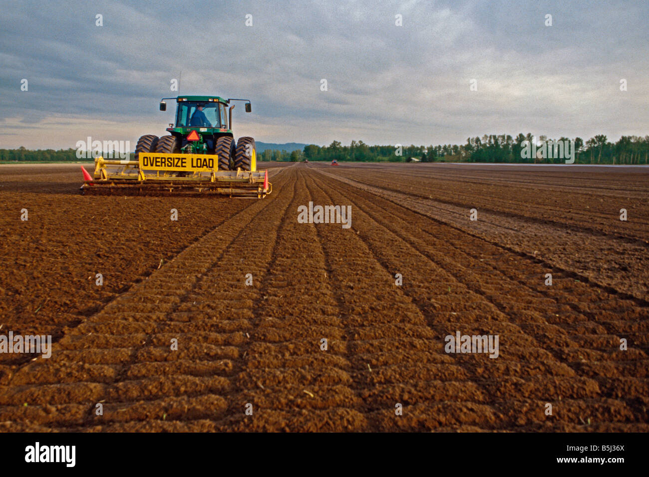 A tractor pulling a roto-tiller puts the finishing touches on seedbed preparation prior to planting potatoes in Washington Stock Photo