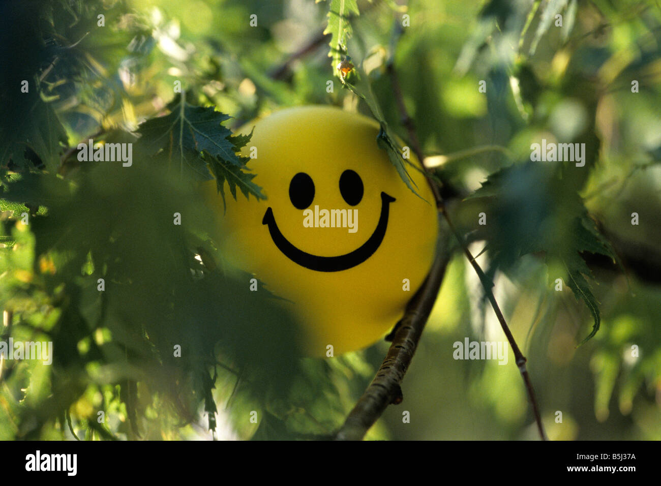 A smiley rubber ball in the green leaves. Stock Photo