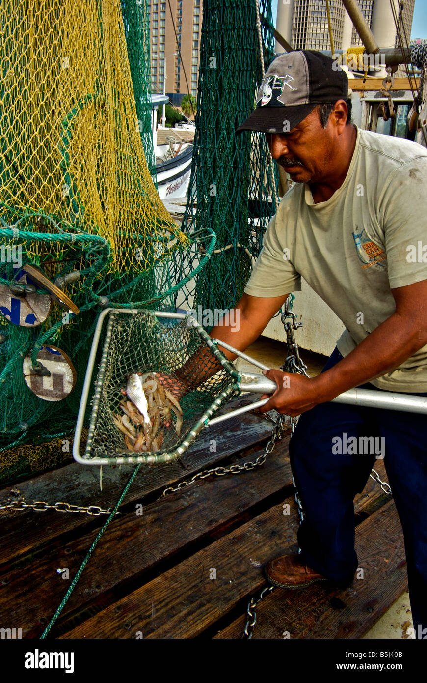 Gulf shrimp fisherman with some of his net trawl catch at dock side in