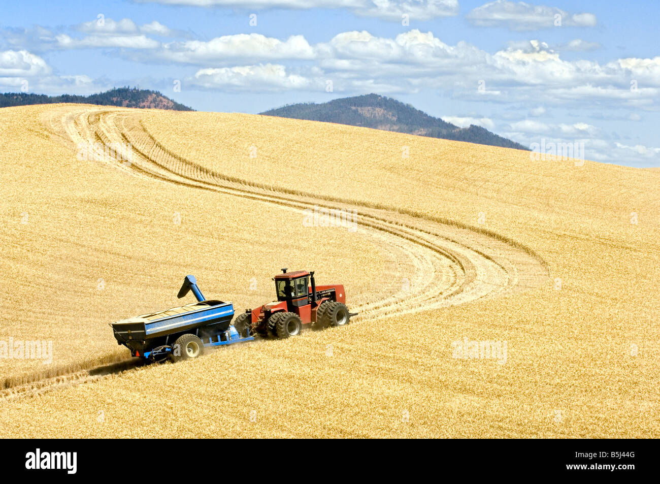 A tractor pulling a loaded grain cart makes it way to waiting trucks on the hills of the Palouse region of Washington Stock Photo