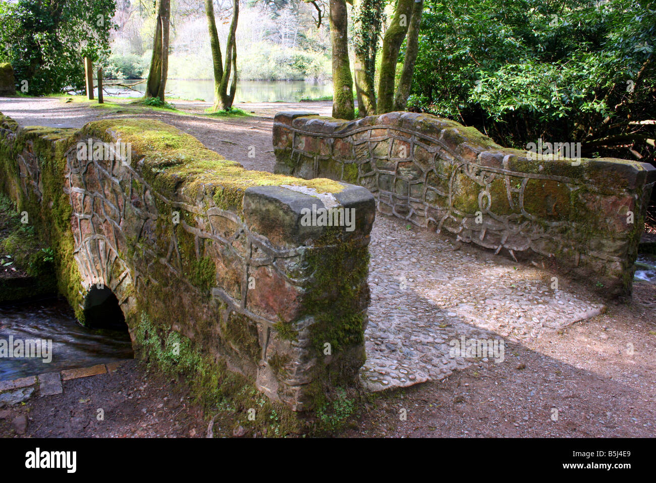 small bridge on a forest trail on Drum Manor Forest Park, County Tyrone, Northern Ireland Stock Photo
