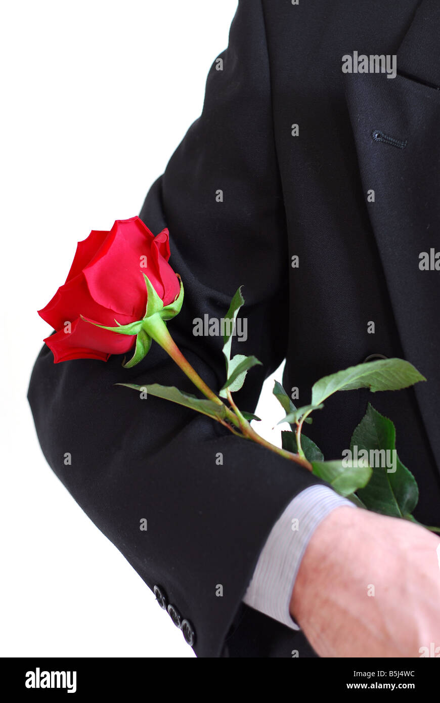 Man in black suit holding a red rose Stock Photo - Alamy