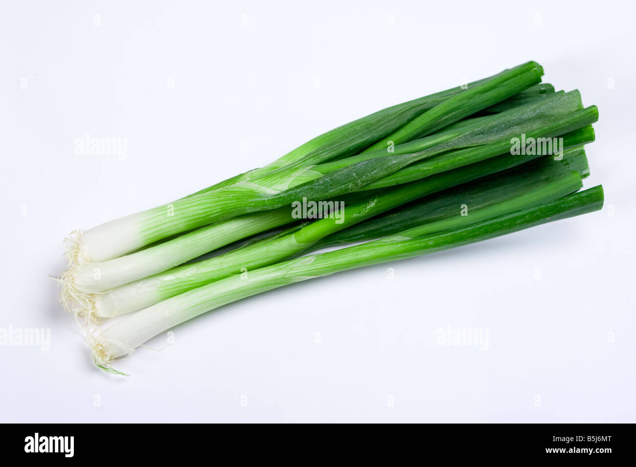 Strong Onion High Resolution Stock Photography and Images - Alamy