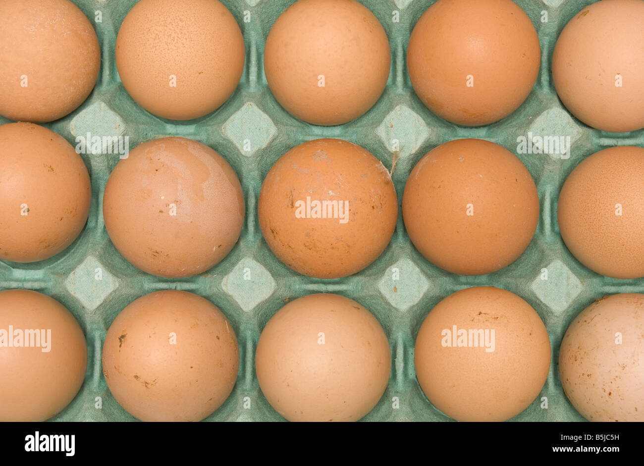 Flay lay of brown hens eggs in a green cardboard tray Stock Photo Alamy