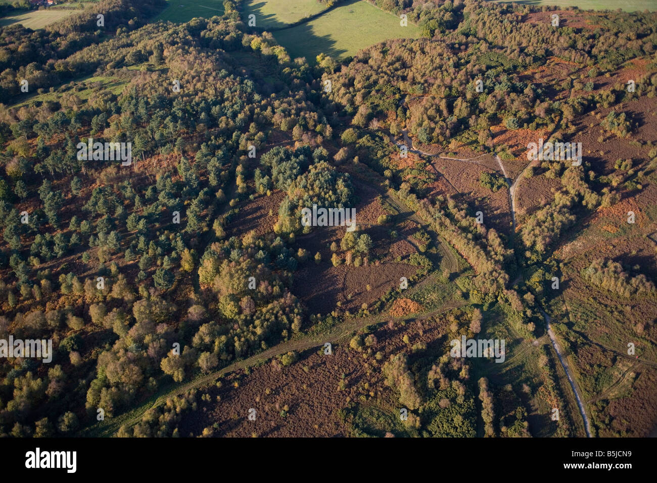 an aerial view of Kelling heath nature reserve and farmland Norfolk ...