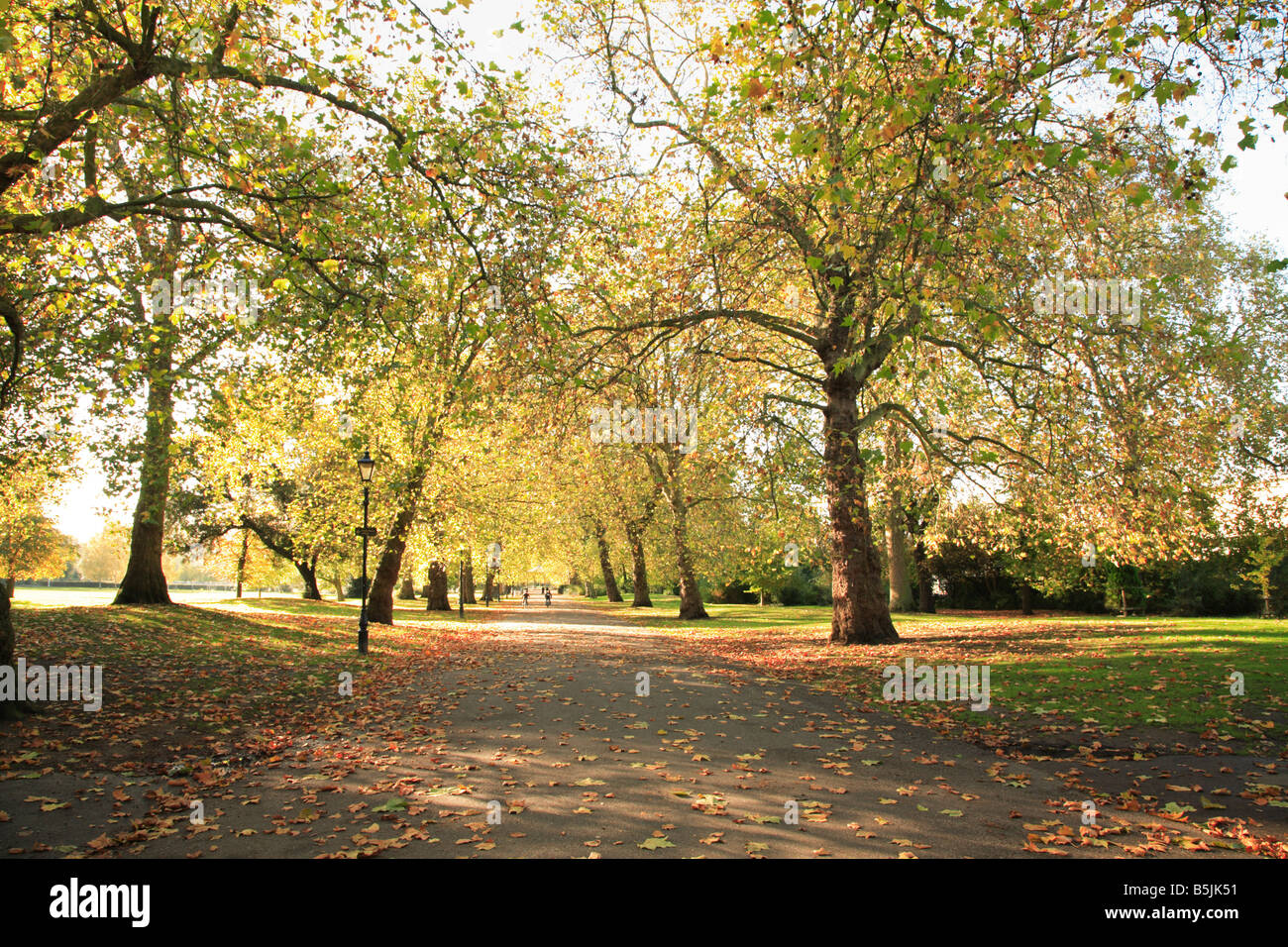 A view towards the bandstand in Battersea Park one October day Stock Photo