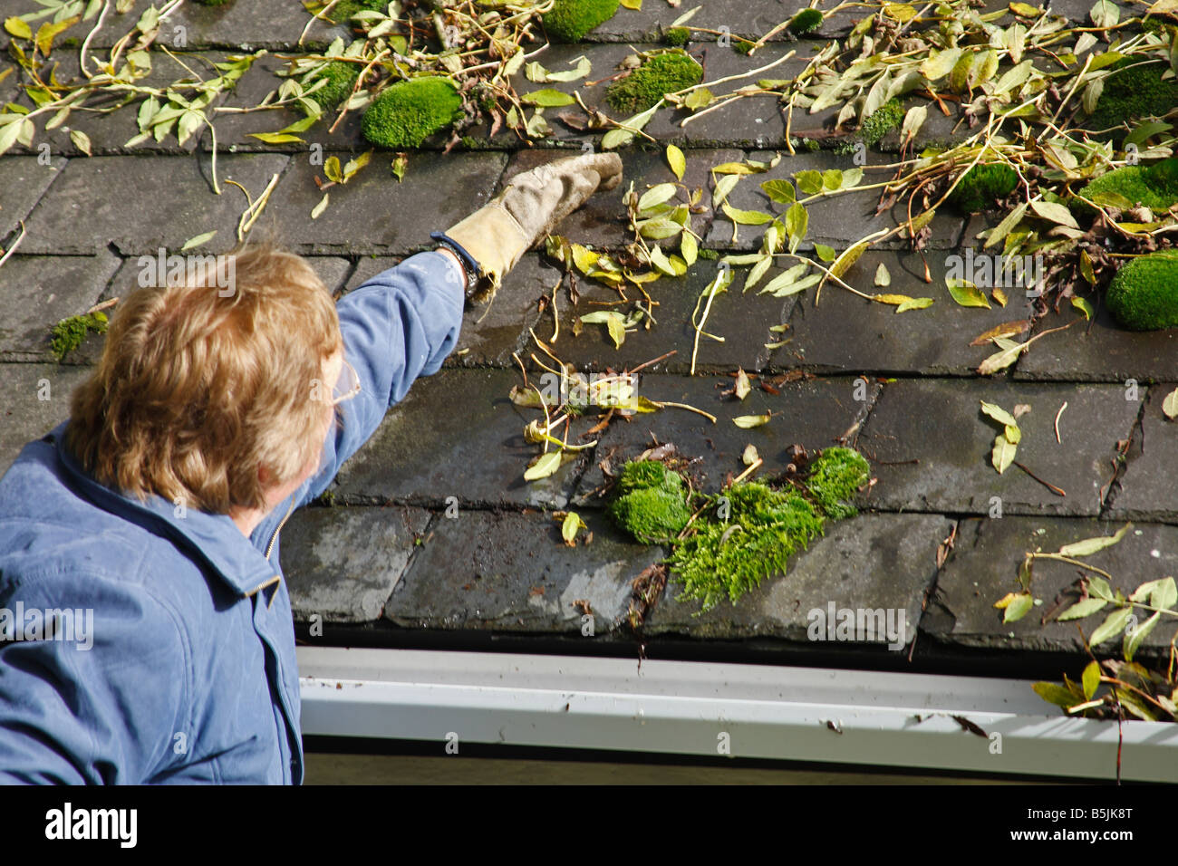 REMOVING AUTUMN LEAVES FROM SLATE ROOF Stock Photo