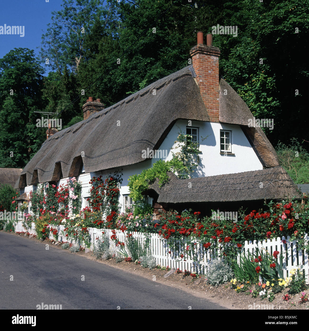 Wherwell village summertime roadside thatched roof cottage white house with narrow red rose