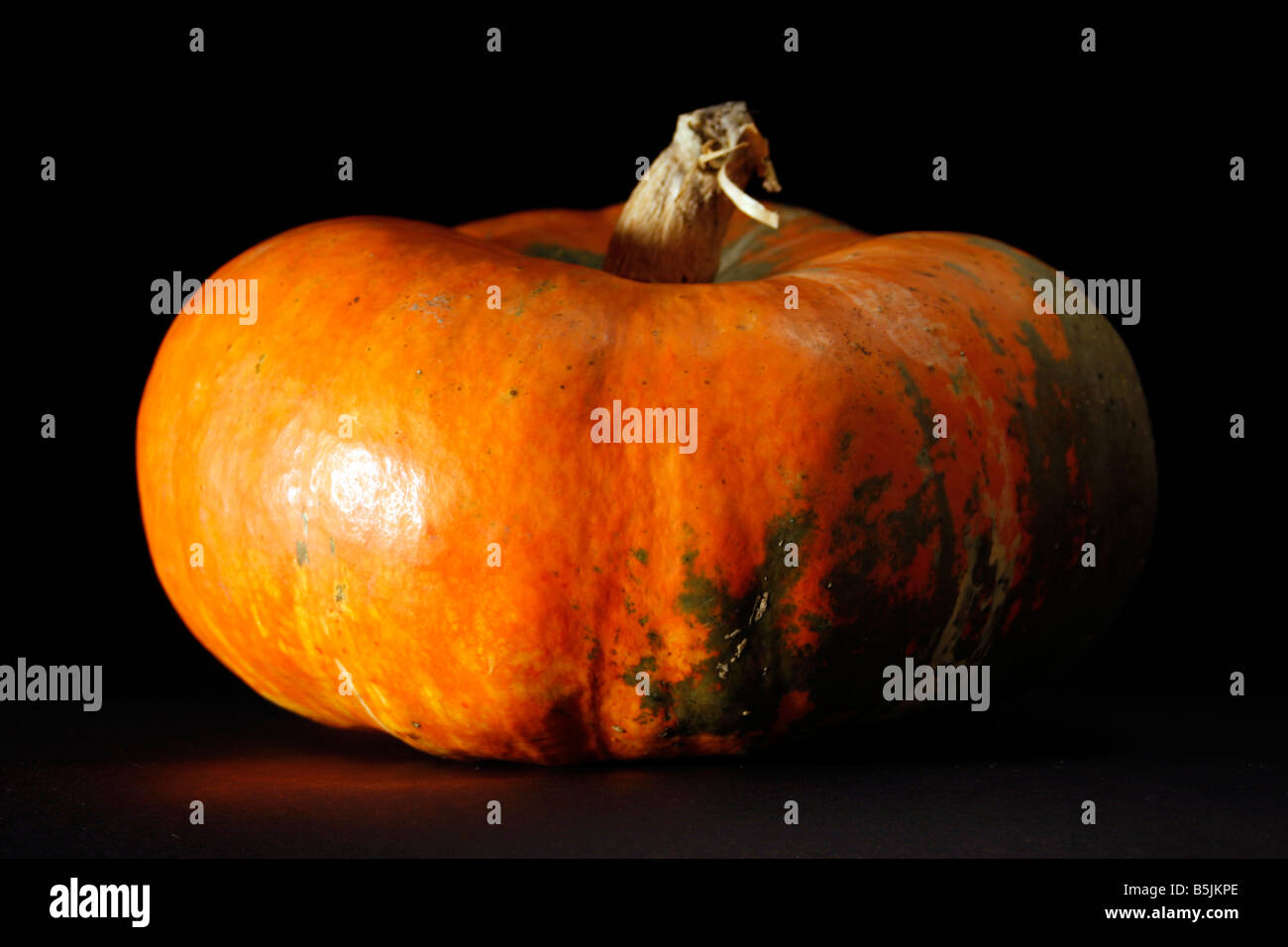 orange pumpkin in black background Stock Photo - Alamy