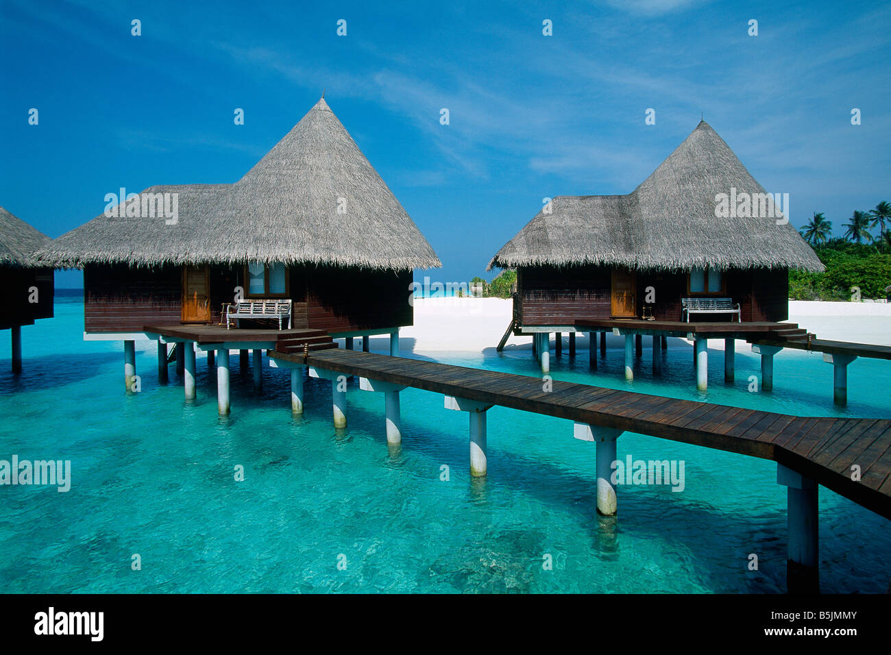 Maldives Dunikolu Island Coco Palm Resort Stock Photo Alamy