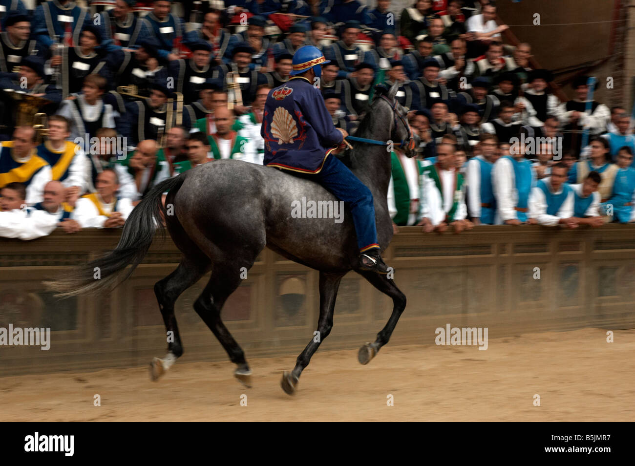 Dressed horse hires stock photography and images Alamy