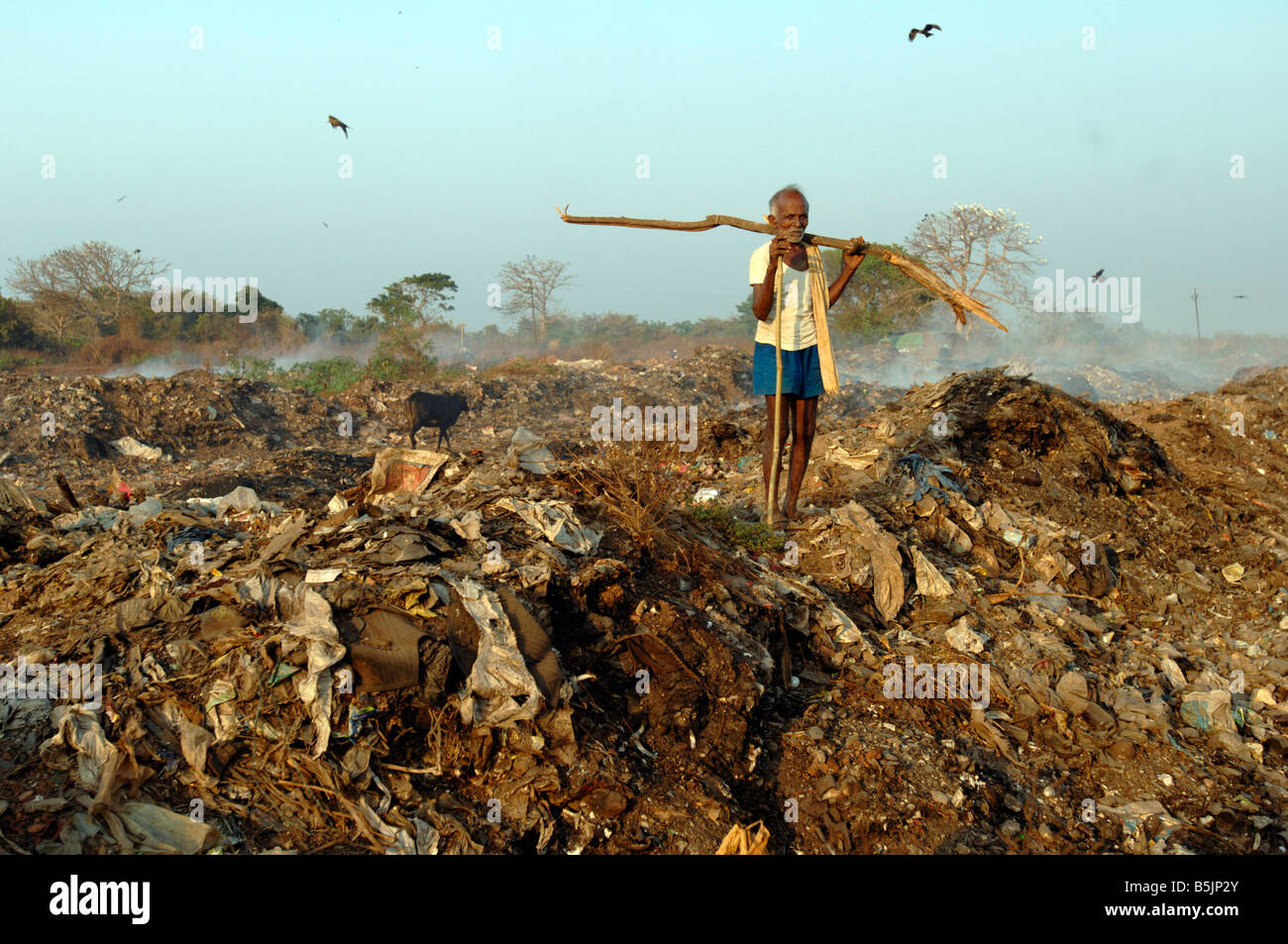Rubbish is burnt on a dump near the town of Mapusa North Goa India, Cows, birds and a man scavenge Stock Photo