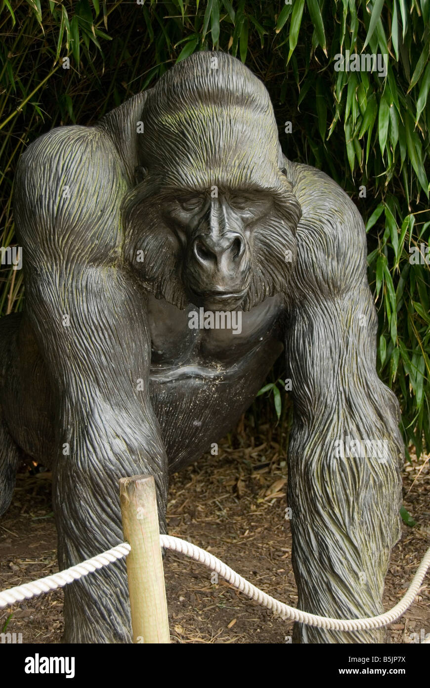 Gorilla, statue, Zoo Bristol , England, UK Stock Photo - Alamy