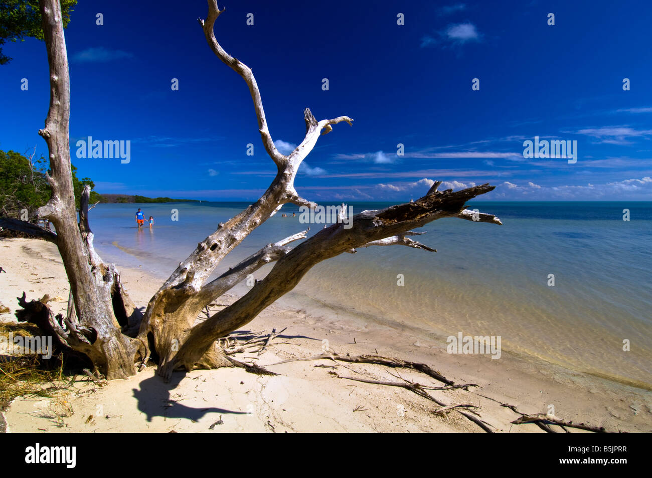 United States Of America Florida Florida Keys Long Key State Park beach Stock Photo