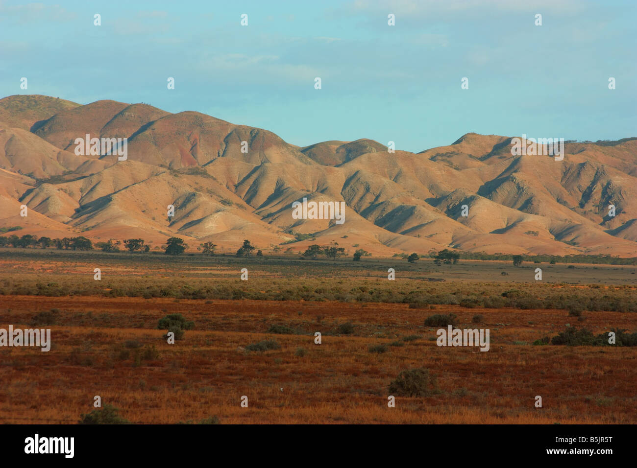 ranges on the mid north flinders ranges with high resolution photography Stock Photo
