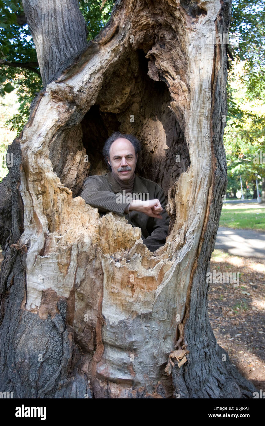 Man sits in a hollow tree trunk in a park Stock Photo