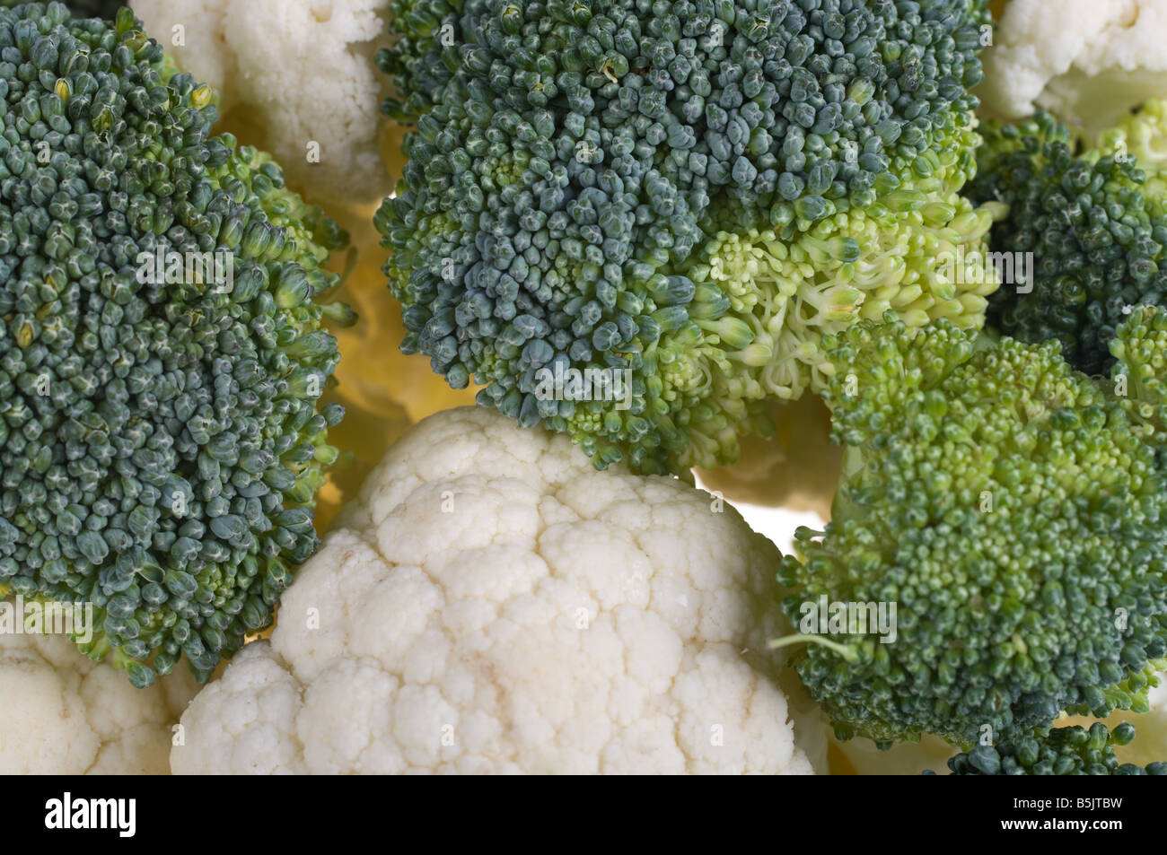 broccoli and cauliflower together for a great vagetable background