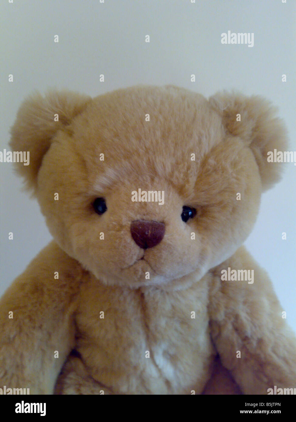Childs cuddly bear hi-res stock photography and images - Alamy