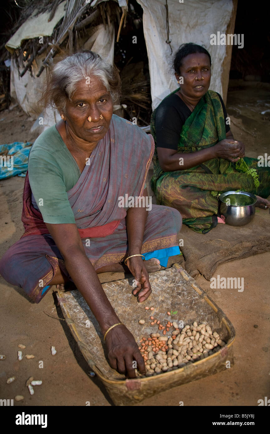 Displaced by the Tsunami women living in temporary tents shell peanuts to sell in Cuddalore region Tamil Nadu India Stock Photo