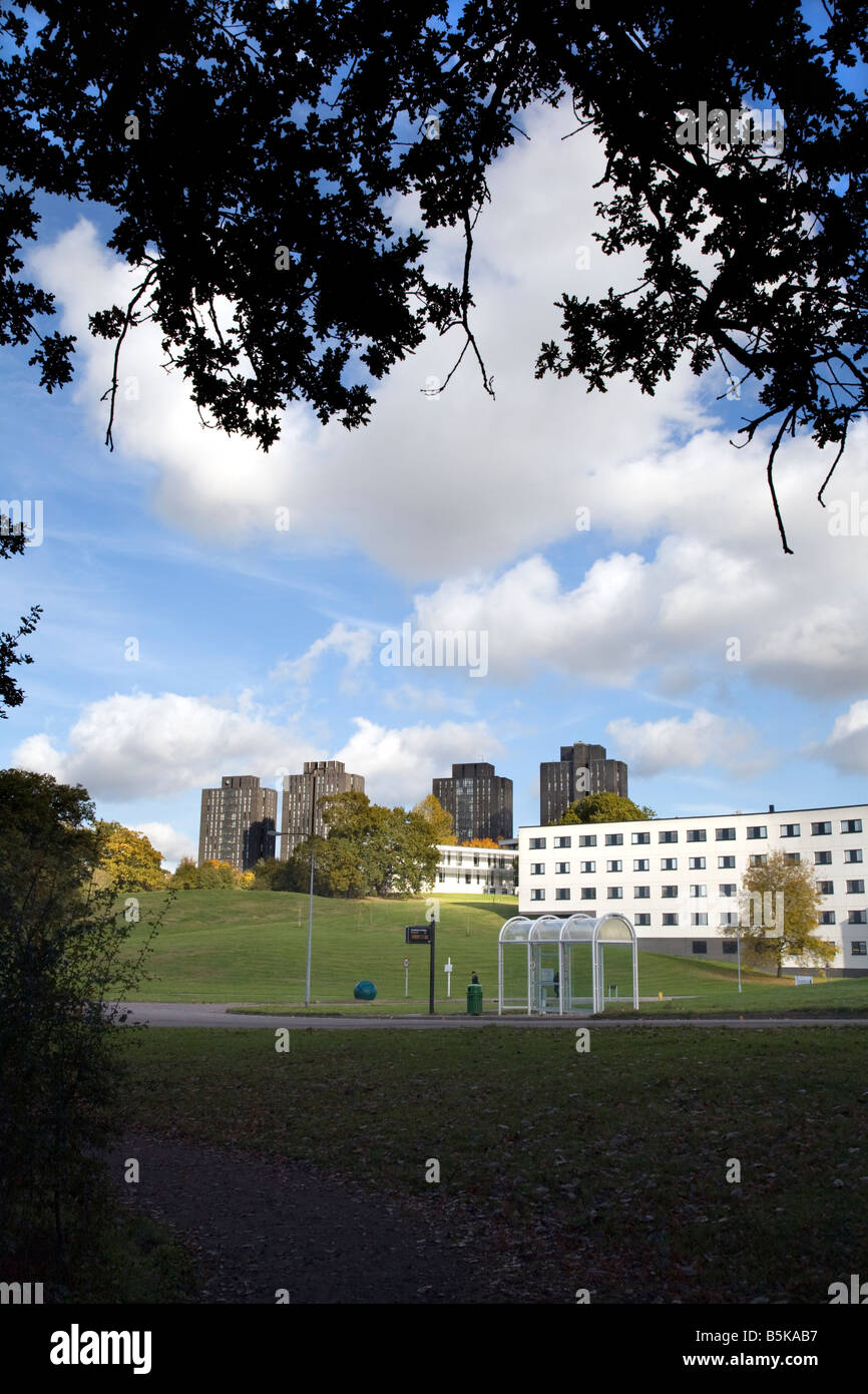 ESSEX UNIVERSITY COLCHESTER SHOWING SOME OF THE STUDENT