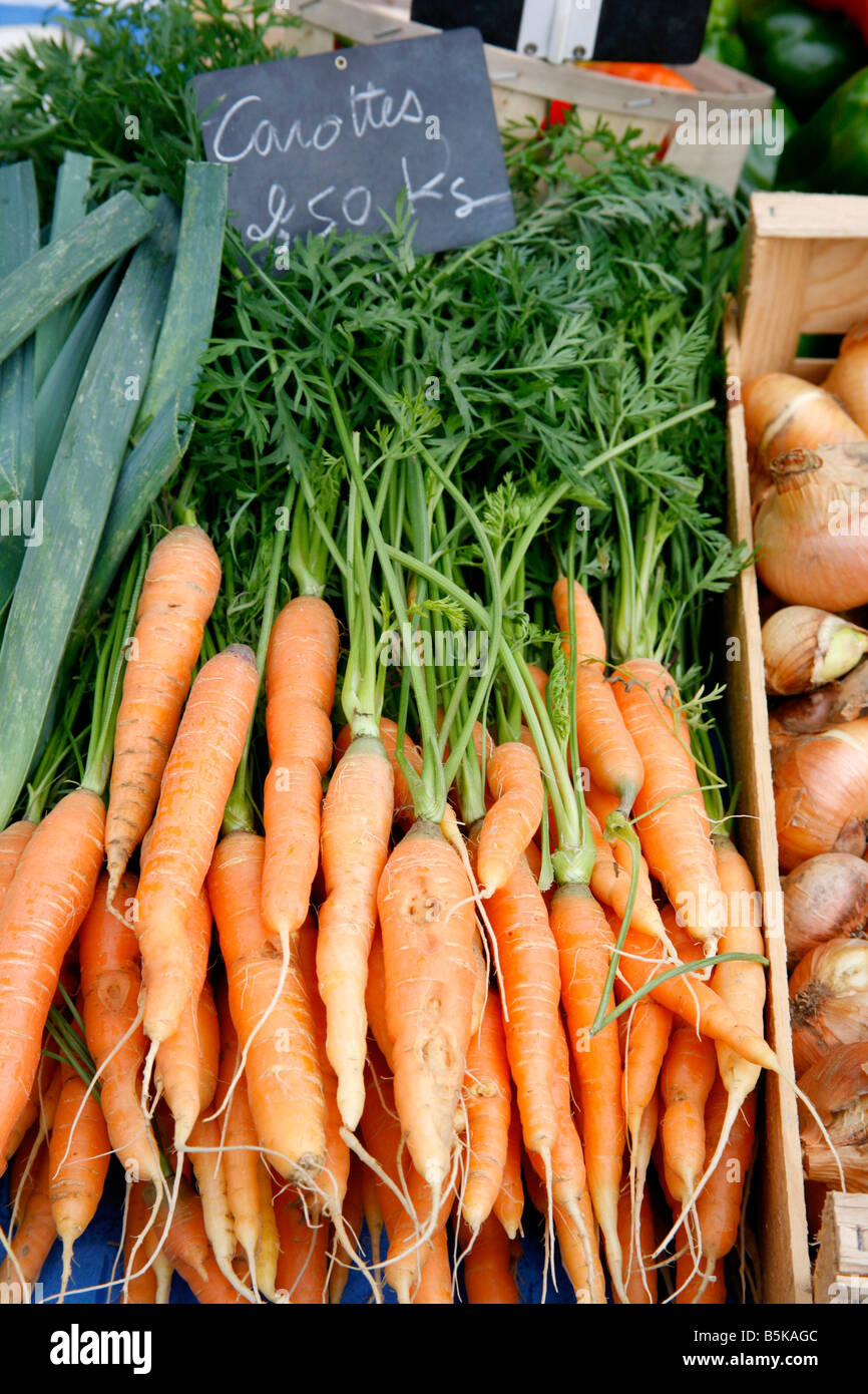 Bunch of fresh carrots at market in the south of France Stock Photo Alamy