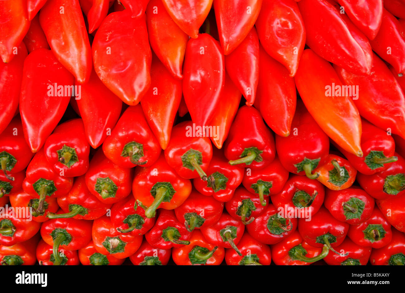 Display of red coloured peppers in market in Europe Stock Photo