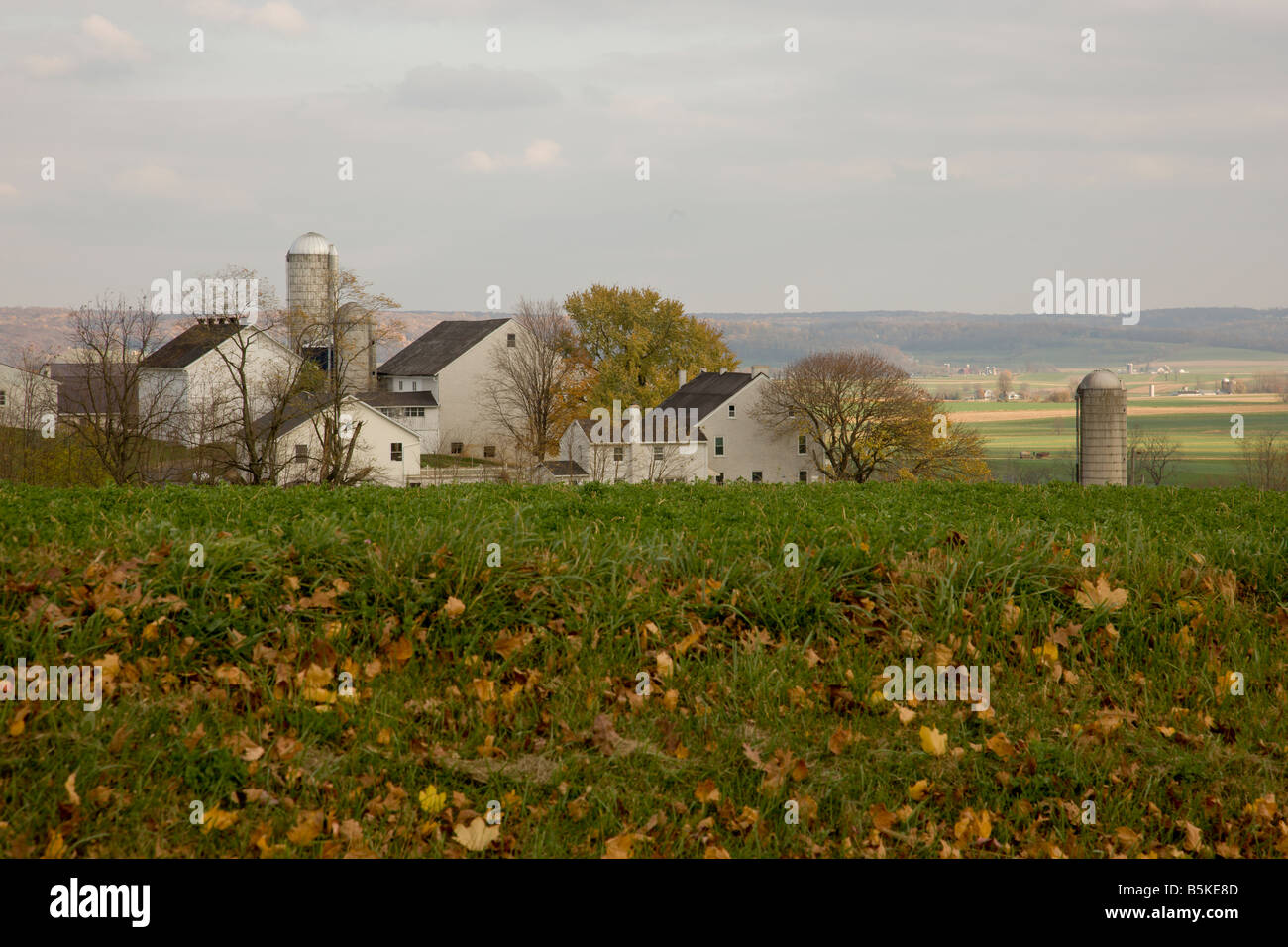 Amish farms hi-res stock photography and images - Alamy