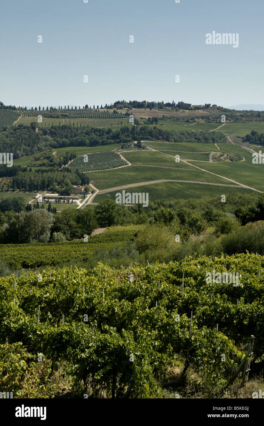 Wine growing region in Italy south of Pisa with large areas growing the Chianti variety of grapes This image shows a valley Stock Photo